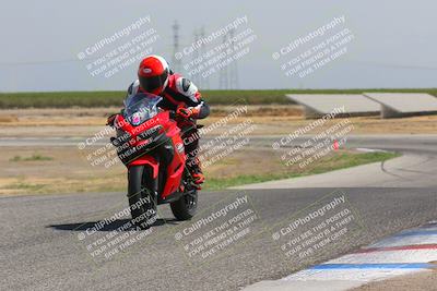 media/Sep-10-2023-Pacific Track Time (Sun) [[44210541ad]]/Group B/1220pm (Wheelie Bump)/